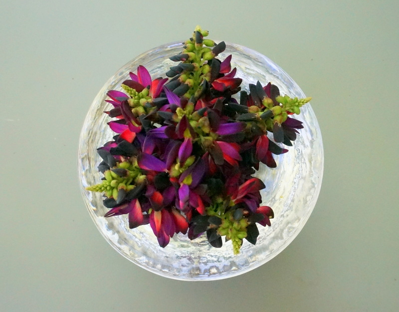 easy-centerpiece-ideas-plants-010