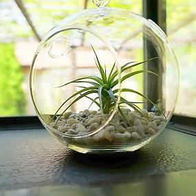 easy-centerpiece-ideas-plants-012