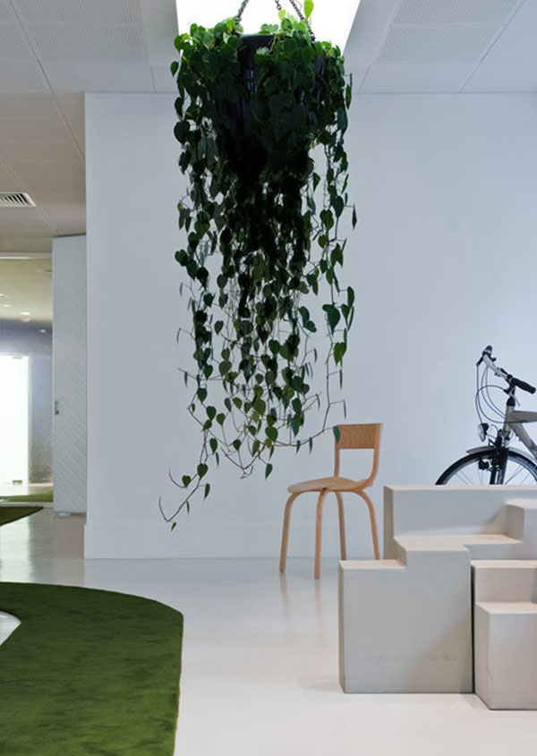 eco-advertising-agency-005