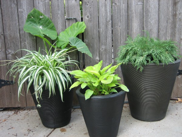 garden-design-ideas-013