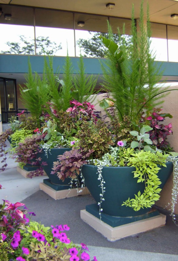 garden-design-ideas-023