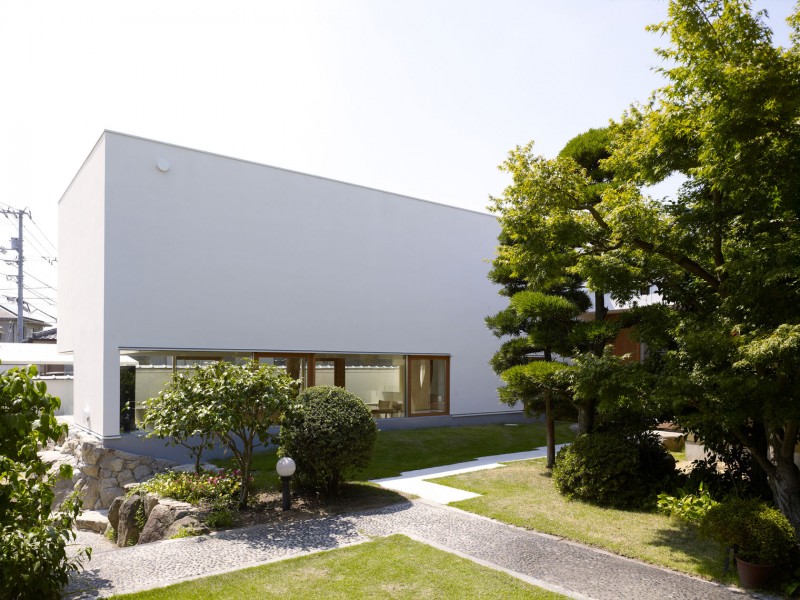 garden-tree