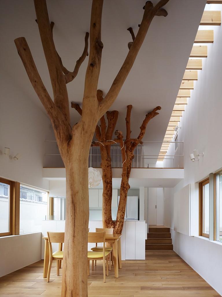 garden-tree