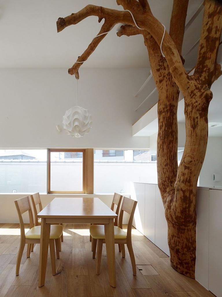garden-tree