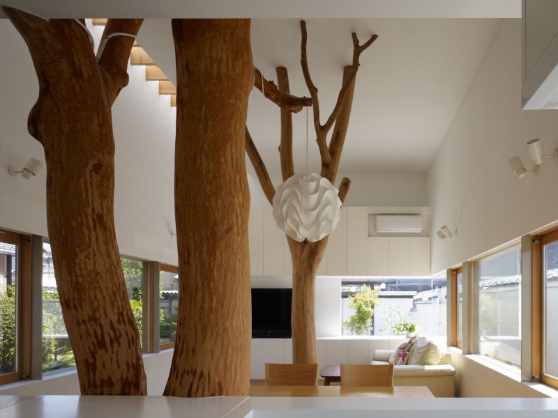 garden-tree