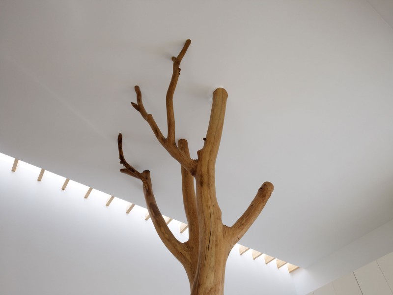 garden-tree
