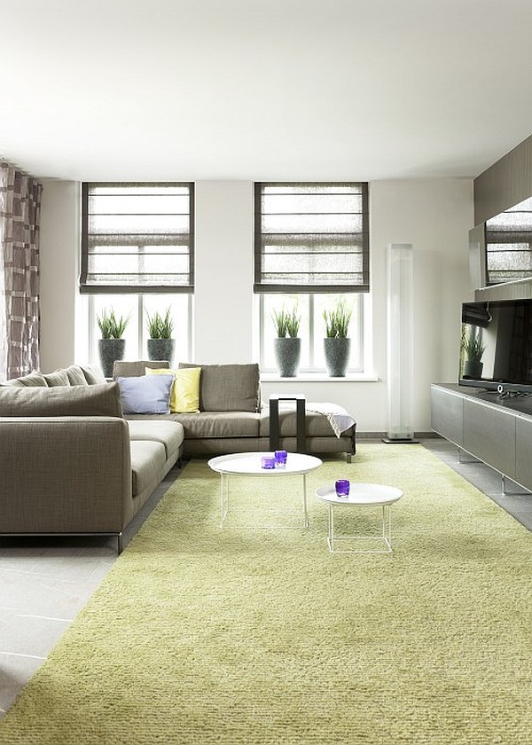 green-area-in-living-room-006