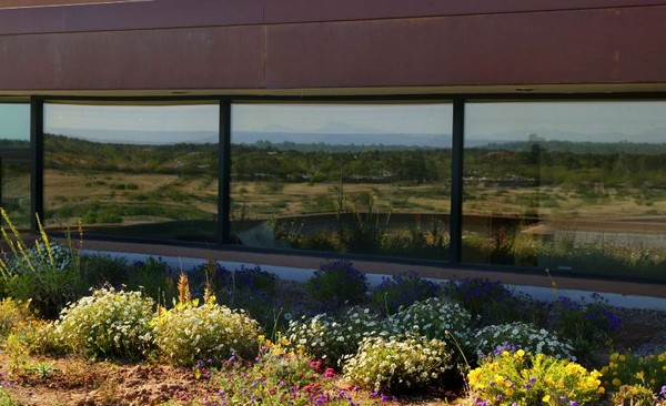 green-design-riverfront-residence-004