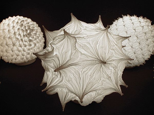 hiroyuki-murase-suzusan-002