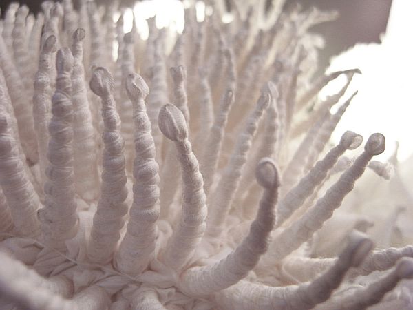 hiroyuki-murase-suzusan-005