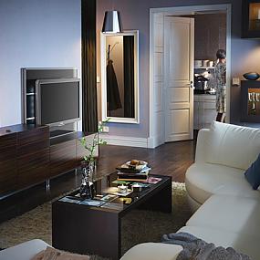 living-room-styles-2011-021