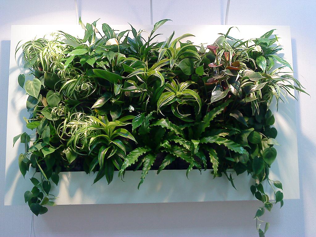 living-walls-06
