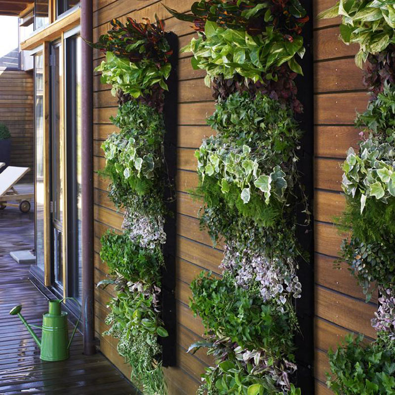 living-walls-21