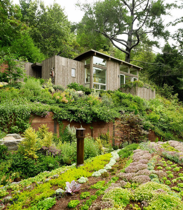 mill-valley-cabins-001
