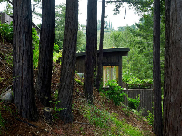 mill-valley-cabins-005