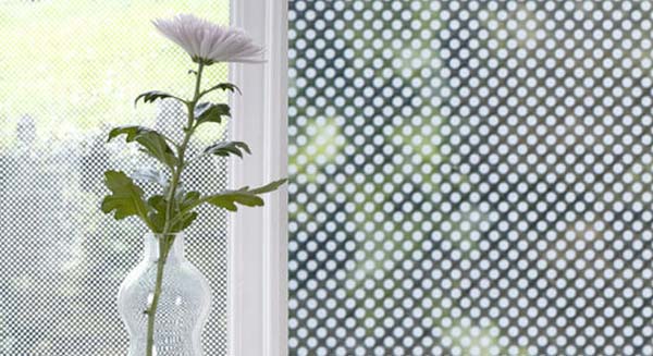 modern-window-001
