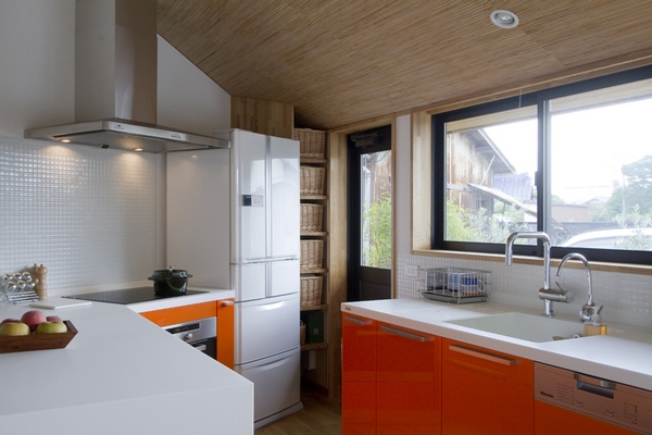 pentagonal-house-001