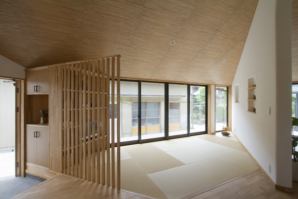 pentagonal-house-002