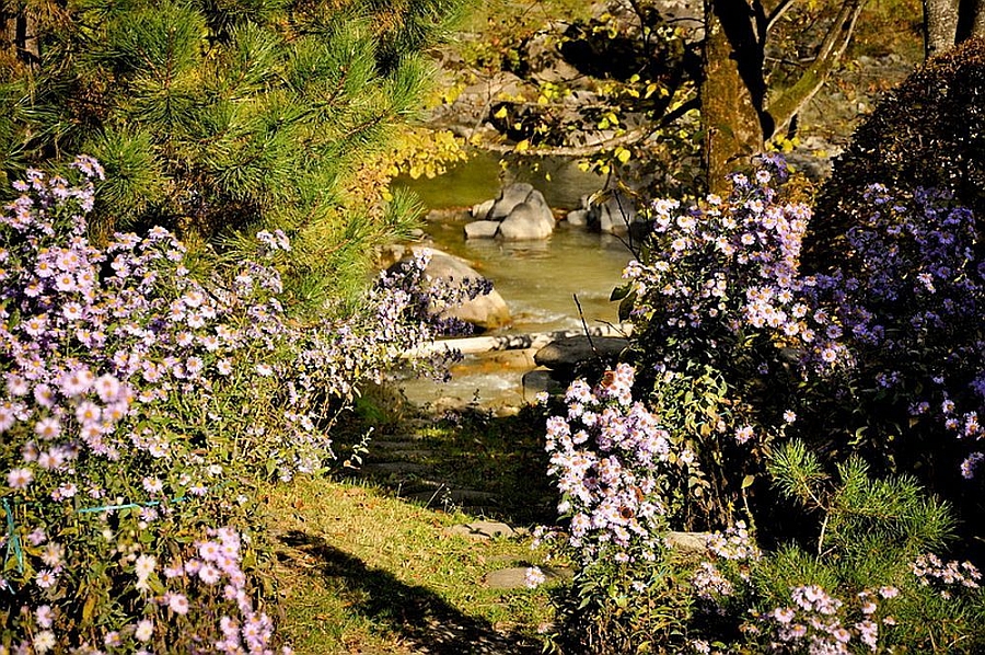 rustic-house-in-romania-008