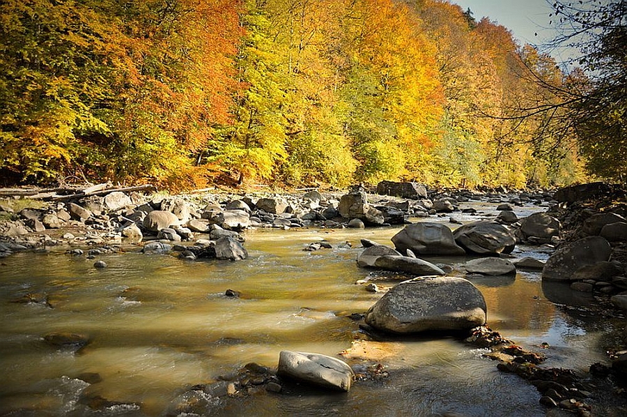 rustic-house-in-romania-021
