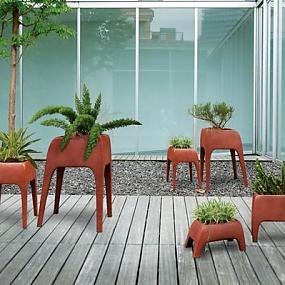 safari-planters-002