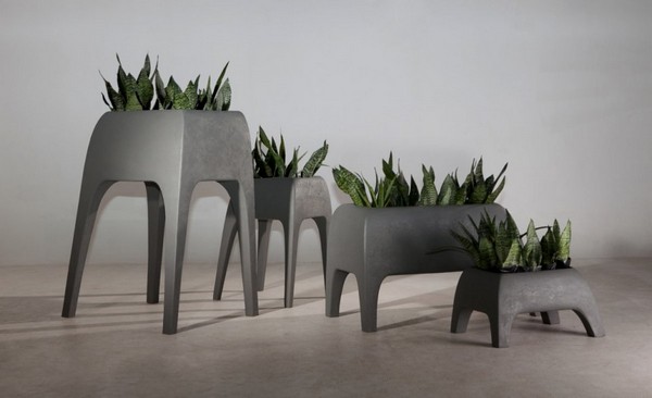 safari-planters-003