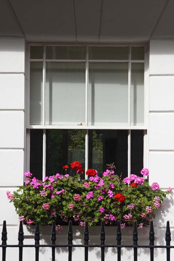 sash-and-case-windows-004