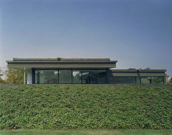 strip-garden-by-buildingstudio-architects-007