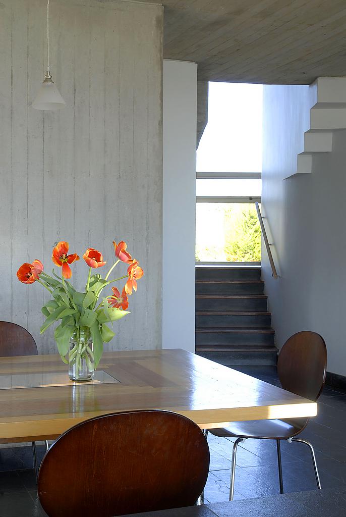House-in-Chile