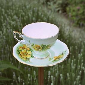 teacup-bird feeder-10