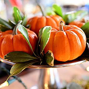 thanksgiving-decoration-ideas-008