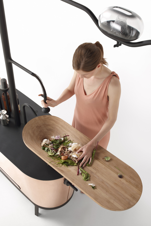 the-microbial-home-001