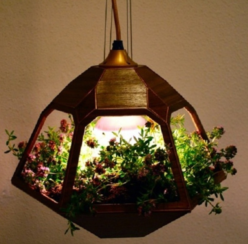 hanging-terrarium-lamp-01