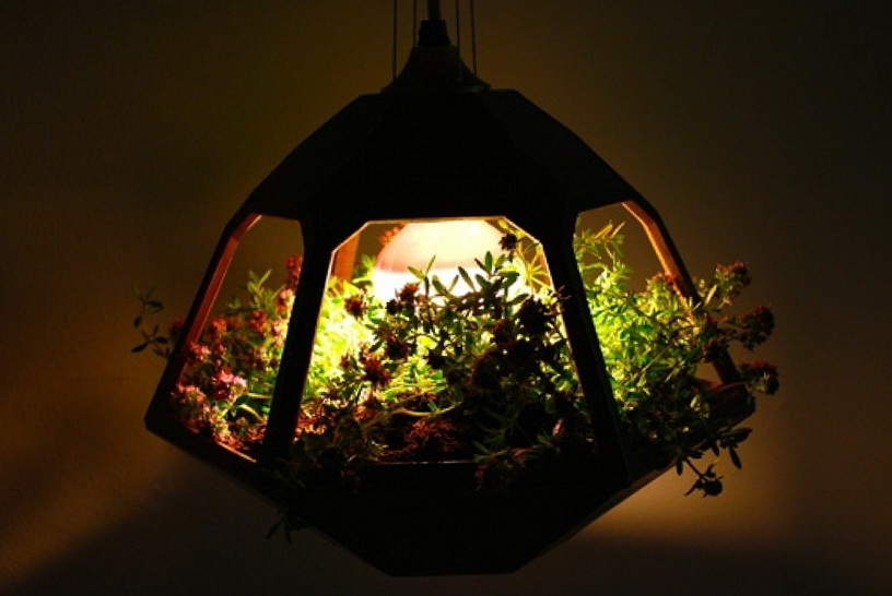 hanging-terrarium-lamp-03