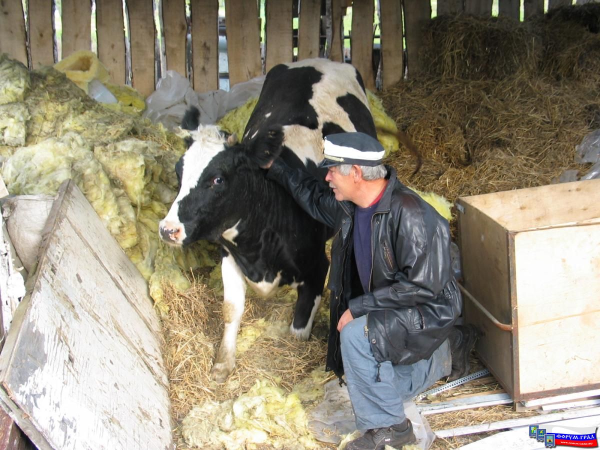 Отец Осваивает Новую Профессию