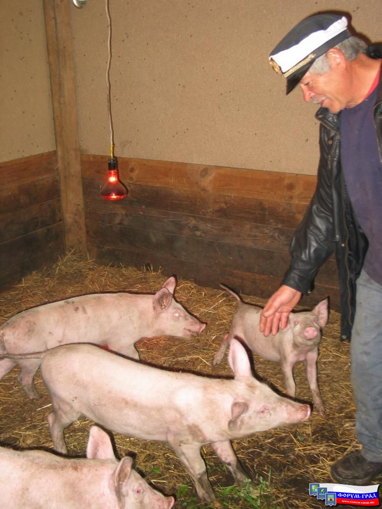 Отец Осваивает Новую Профессию