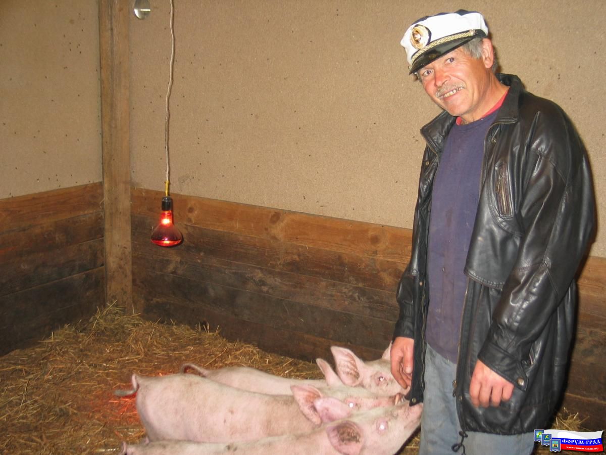 Отец Осваивает Новую Профессию