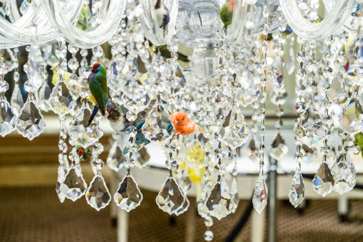 bergdorf-goodman-grey-area-windows-06
