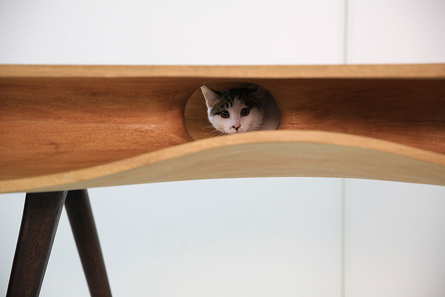 cat-furniture-05