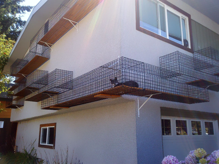 cat-furniture-22