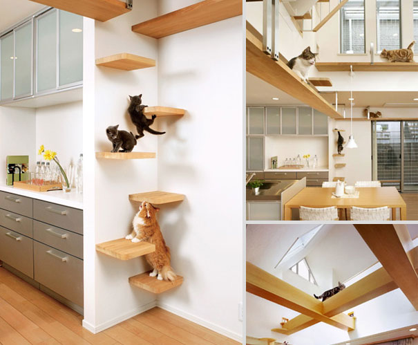 furniture-ideas-for-pet-24