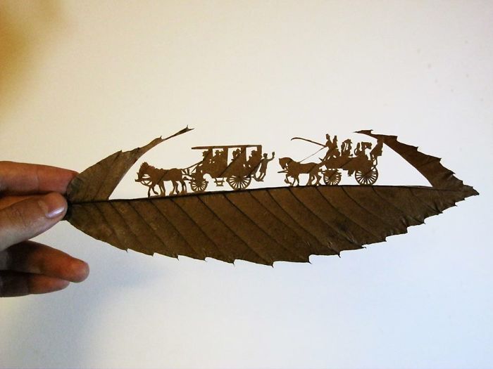 leaf-cutting-omid-asadi-09