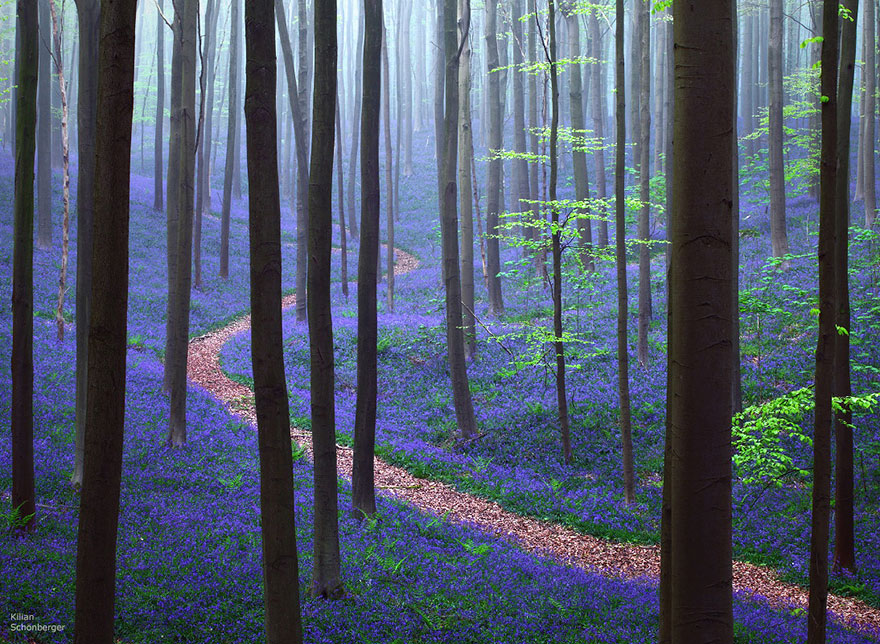 path-photography-02