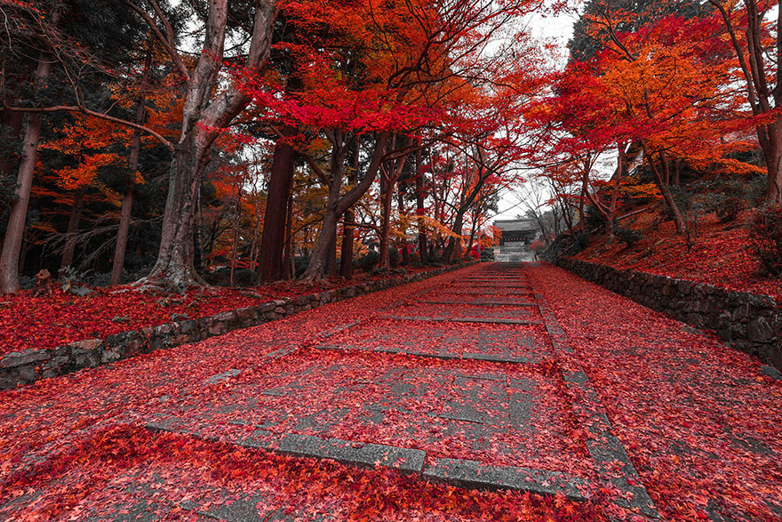 path-photography-10
