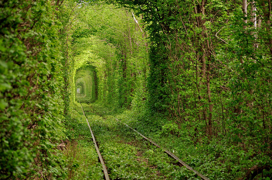 path-photography-14