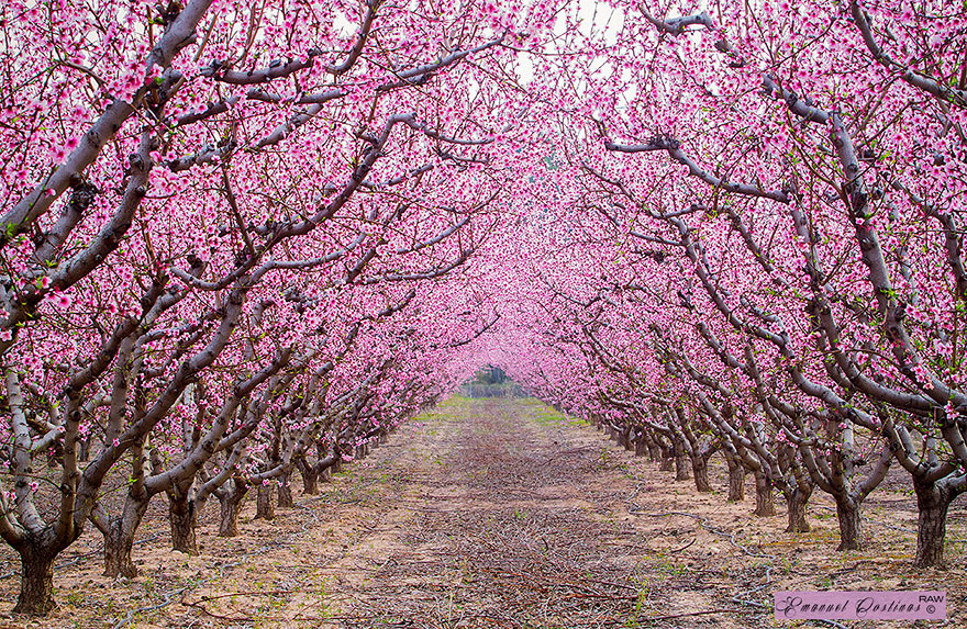 path-photography-25