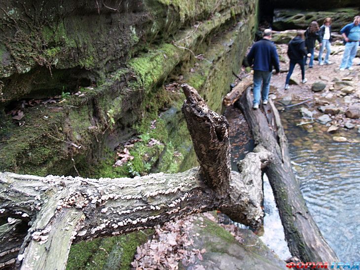 туризм и отдых