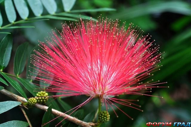 туризм и отдых