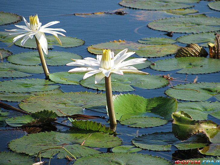 туризм и отдых