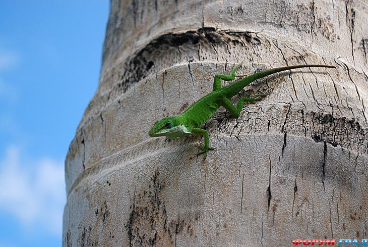 туризм и отдых